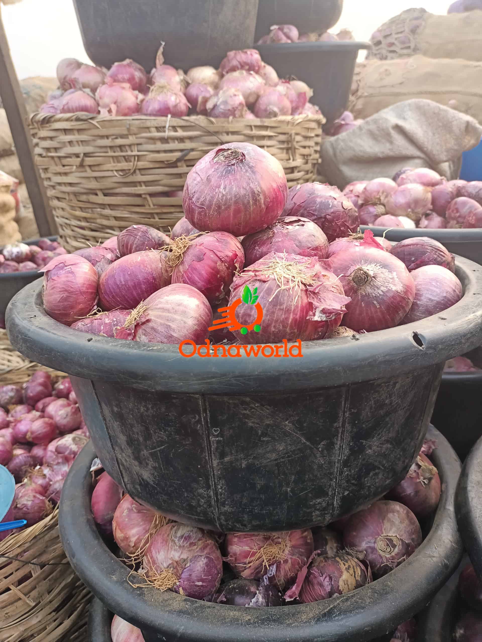 Purple Onions Bowl Odnaworld