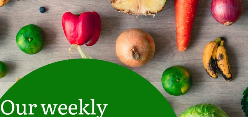 WhatsApp Image 2026-01-05 at 12.46.08 PM