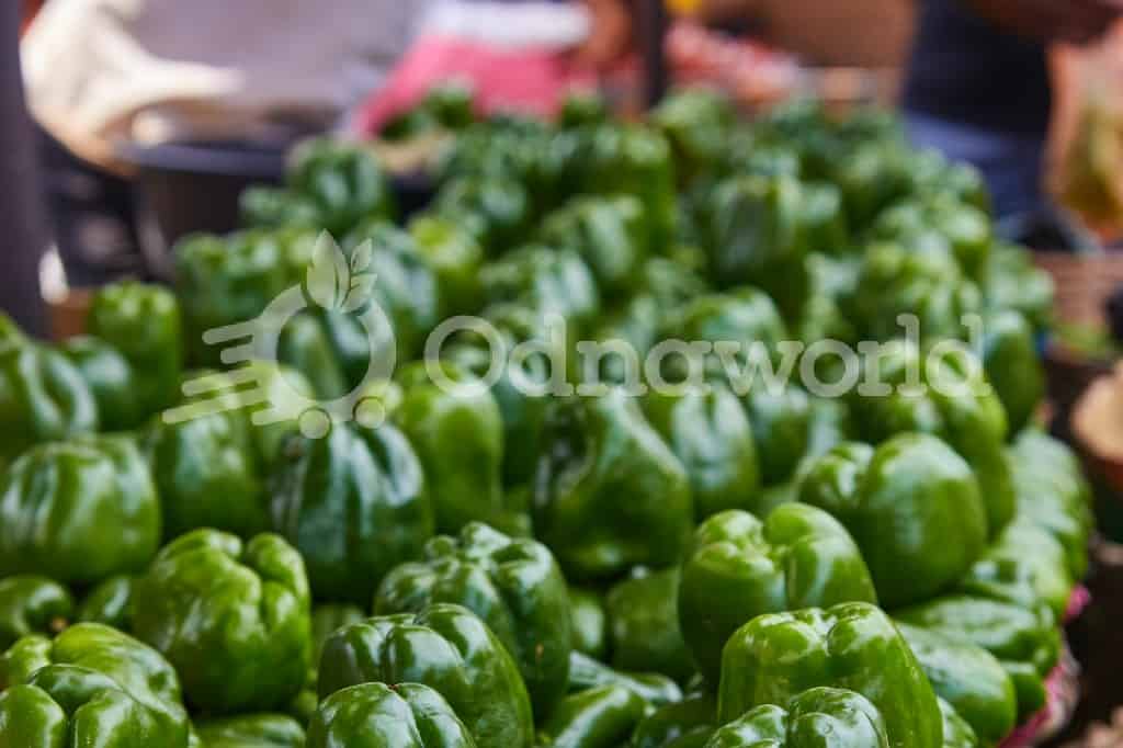 Green Bell Pepper 1kg