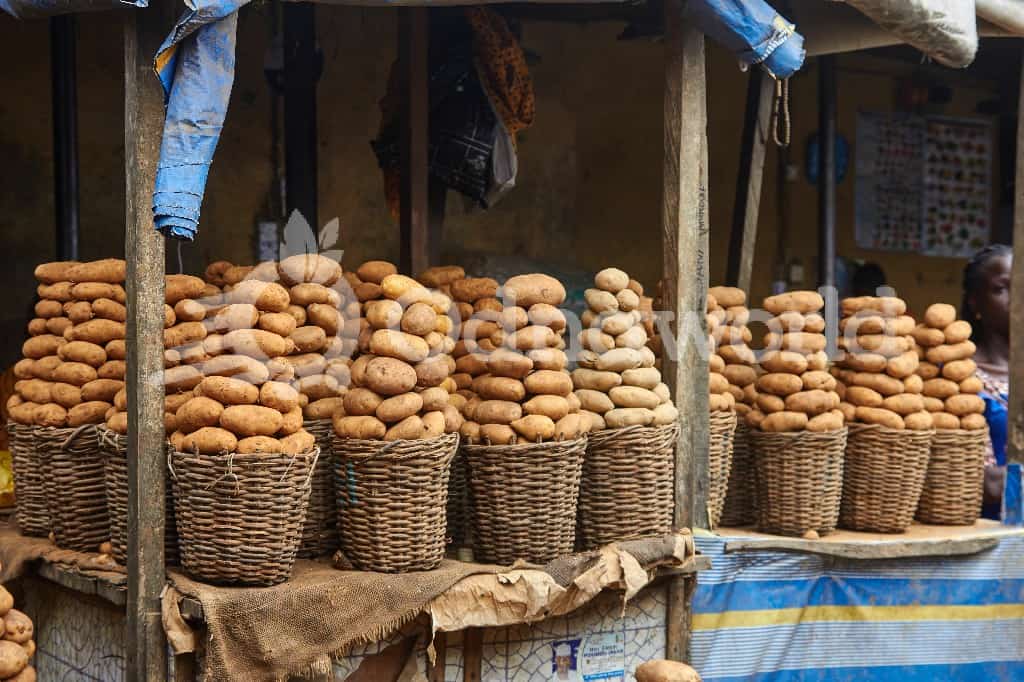 Small Basket of Irish Potatoes