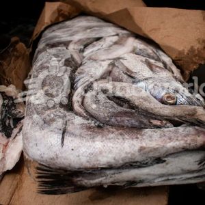 Carton of Hake/Panla fish- 10kg
