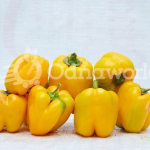 Yellow bell pepper- 1kg