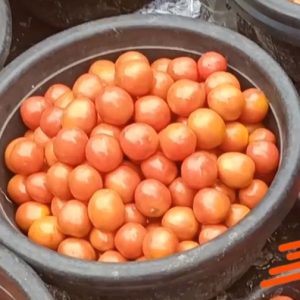 Big Bowl of Tomatoes