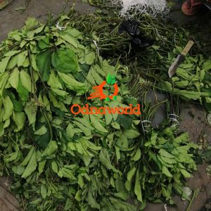 Ugwu/Pumpkin leaf small bunch