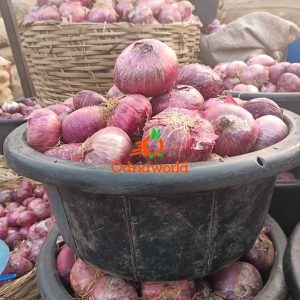 Purple Onions-Bowl