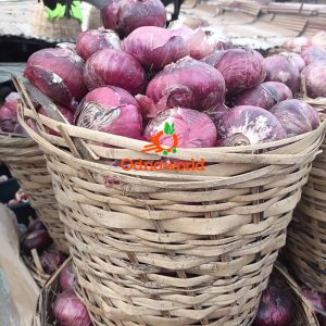 Purple Onions- Medium Basket