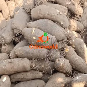 Tubers of Yams-1pieces