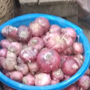 Red onions- Half bowl