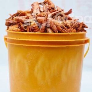 Dry red shrimps/Ede pupa- 1paint