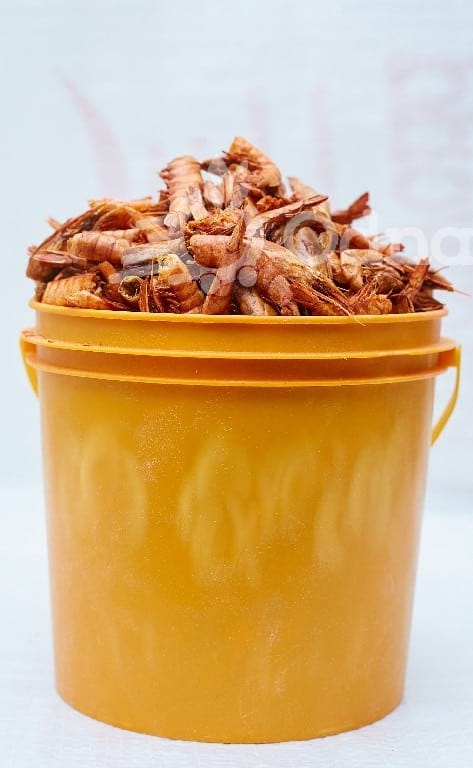 Dry red shrimps/Ede pupa- 1paint
