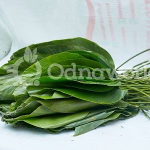 Moi moi leaves- per raps
