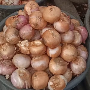 Dry Onions Bowl