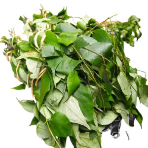 Uziza Leaf