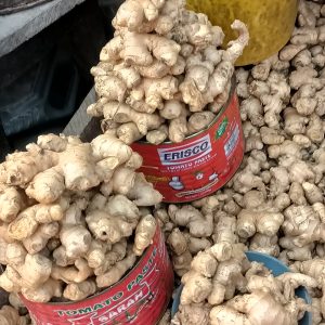 Ginger -Half Paint