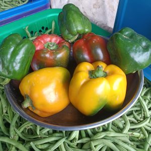 Mixed Bell peppers- Yellow/Red/Green- 1kg