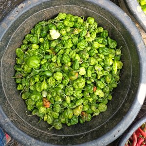 Green Rodo - Half bowl