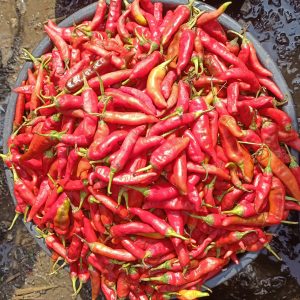 Cayenne/Shombo/Bawa Pepper- Bowl