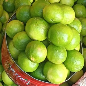 Lime - Half paint