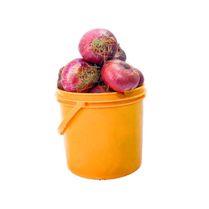 Red Onions - 1paint