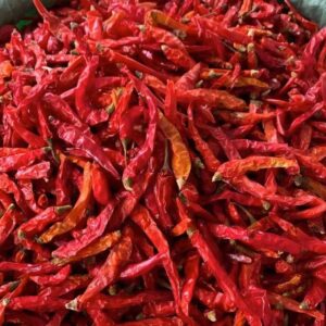Dry Chili Pepper 1paint