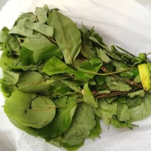 Oha Leaf- Per rap