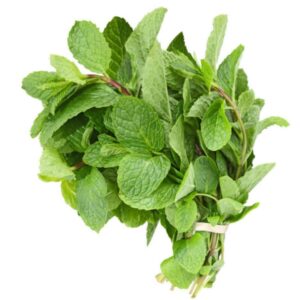 Scent leaf- Per rap