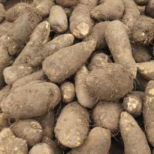 Yam Sharing (10tubers per person)